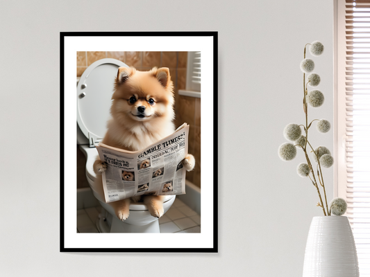 Pomeranian on Toilet