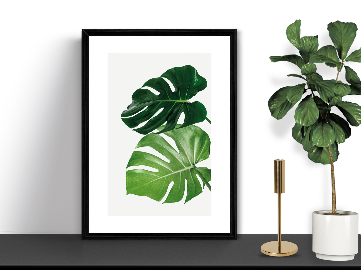 Monstera Leaf