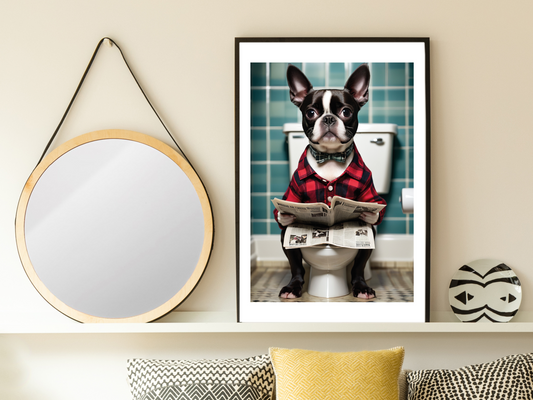 Boston Terrier on Toilet