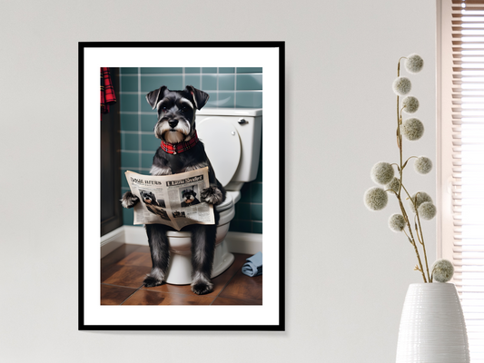 Grey Schnauzer on Toilet