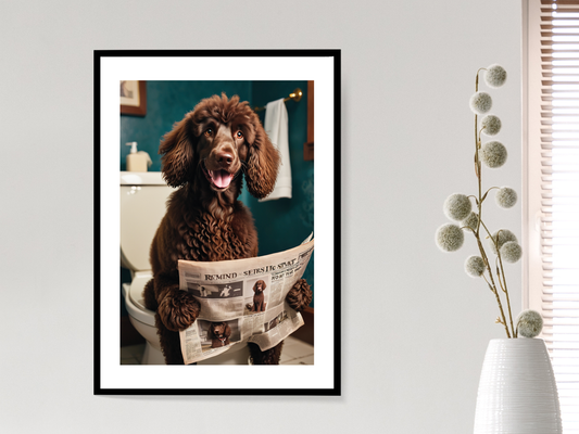 Irish Water Spaniel on Toilet