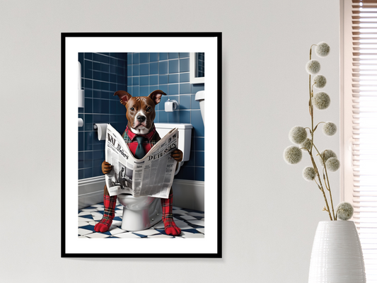 Staffordshire Bull Terrier on Toilet