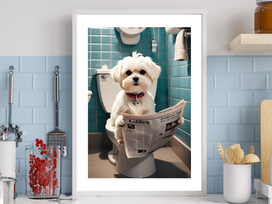 Maltese Dog on Toilet