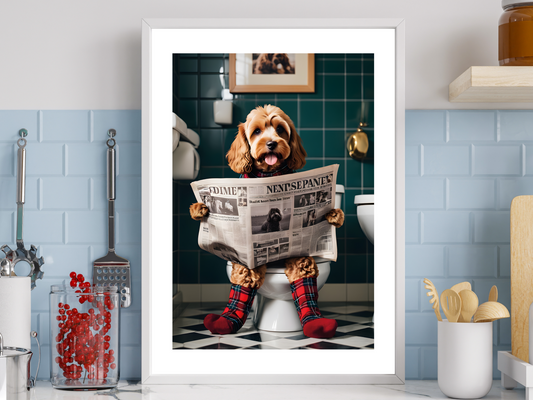 Cockapoo on Toilet
