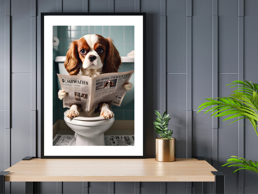 Cavalier Spaniel on Toilet