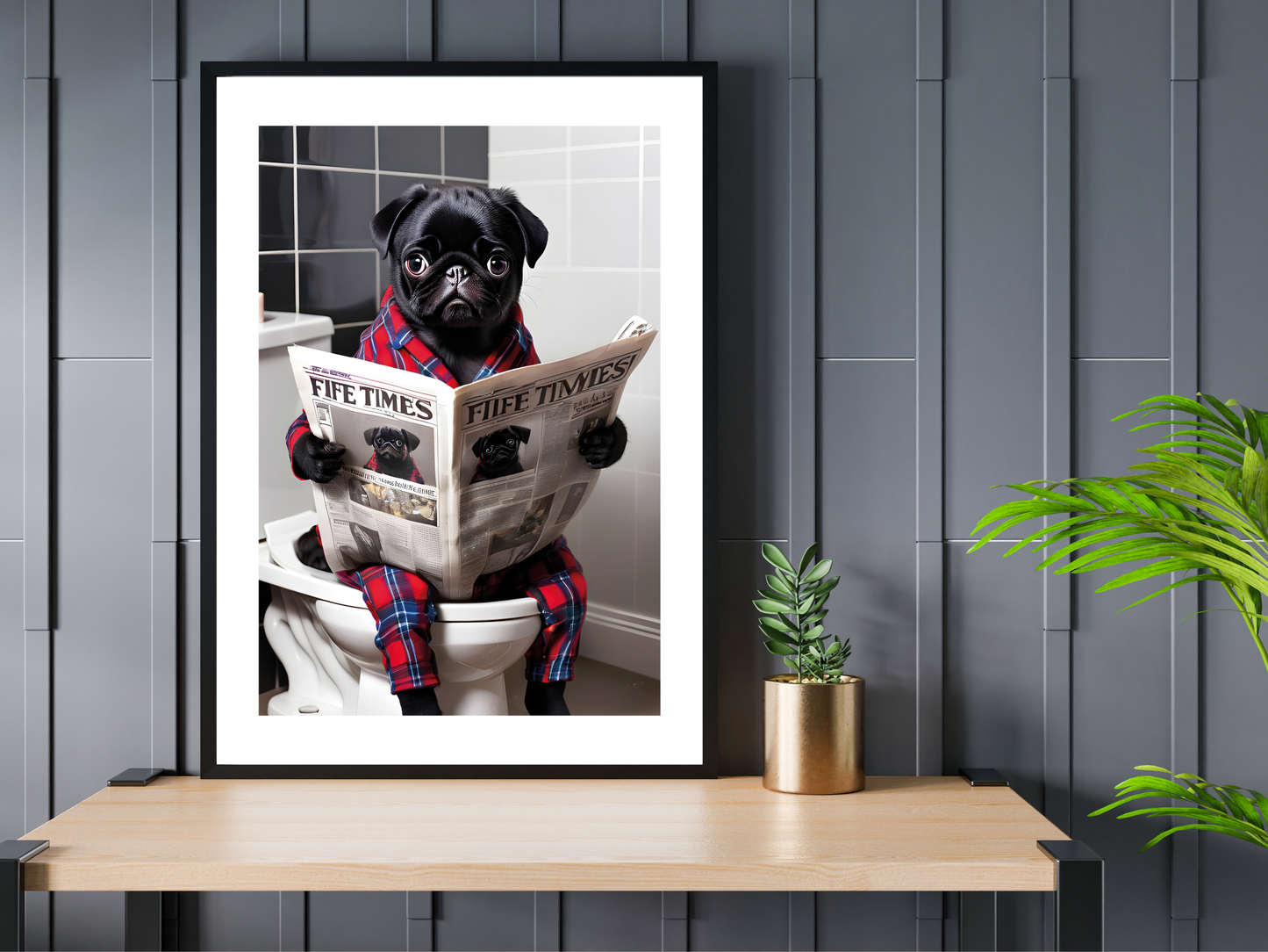 Black Pug on Toilet