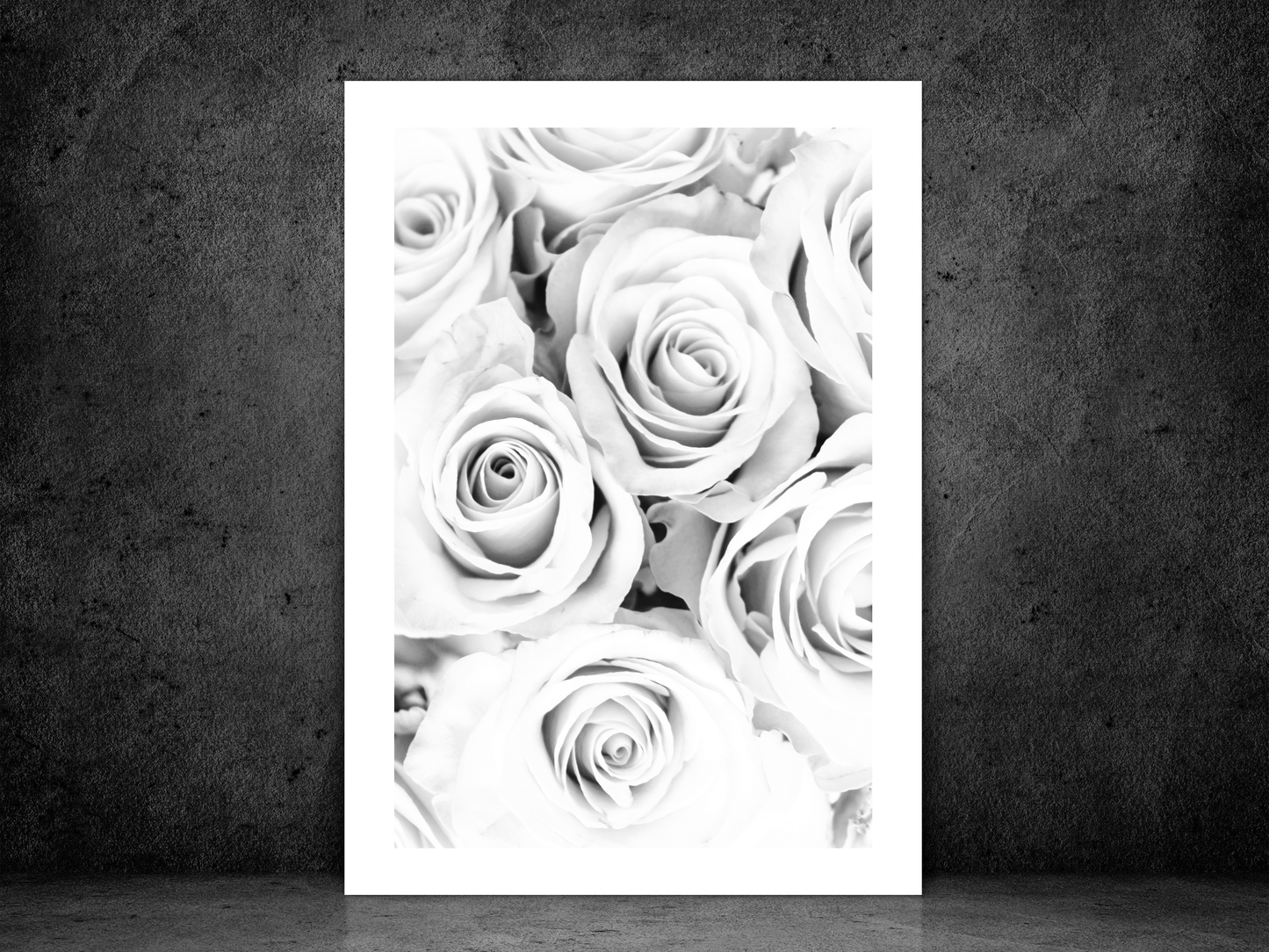 Grey Roses