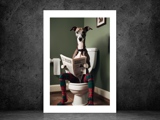 Whippet on Toilet