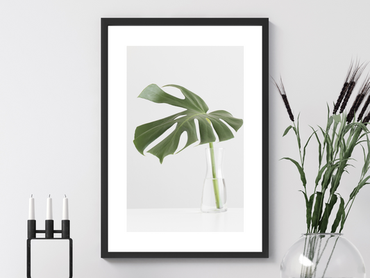 Monstera In Glass