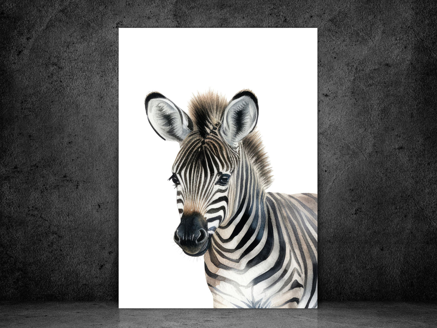 Zebra - Safari Collection