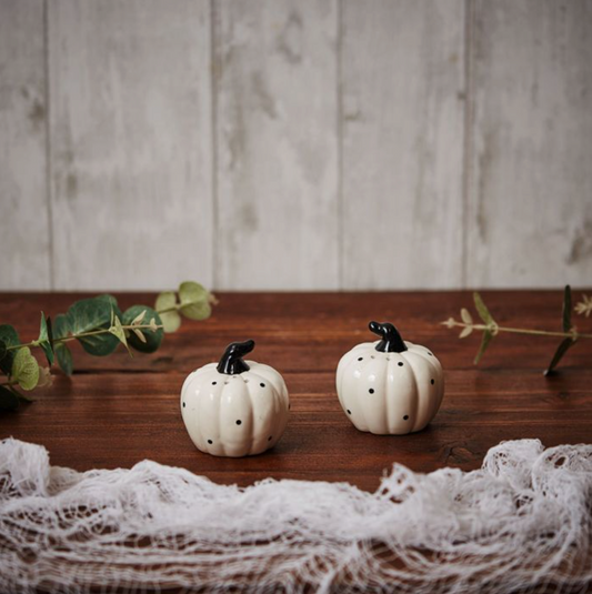 Dotty Pumpkin Salt & Pepper Set