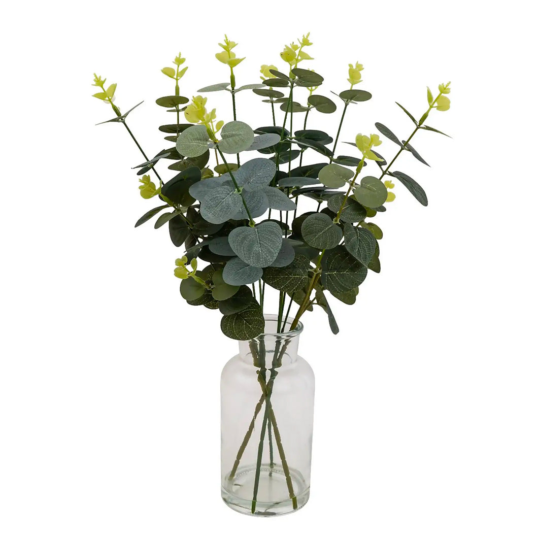 Eucalyptus in Glass Vase