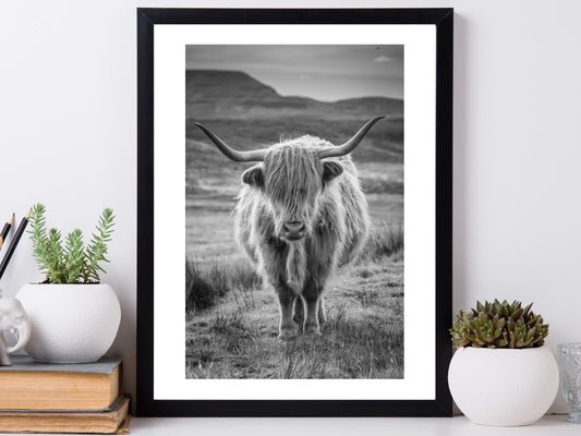 Highland Cow (Greyscale)