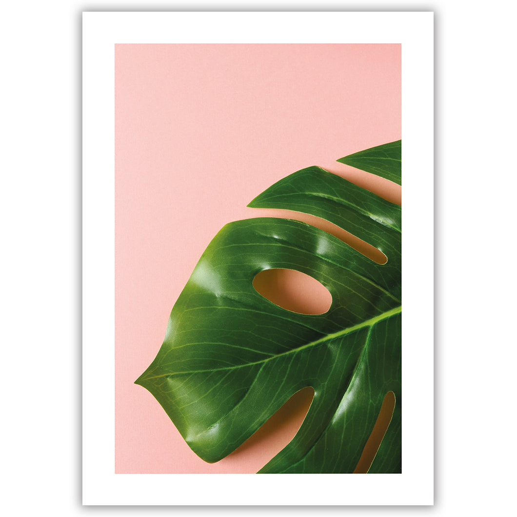 Tropical Pink Palm