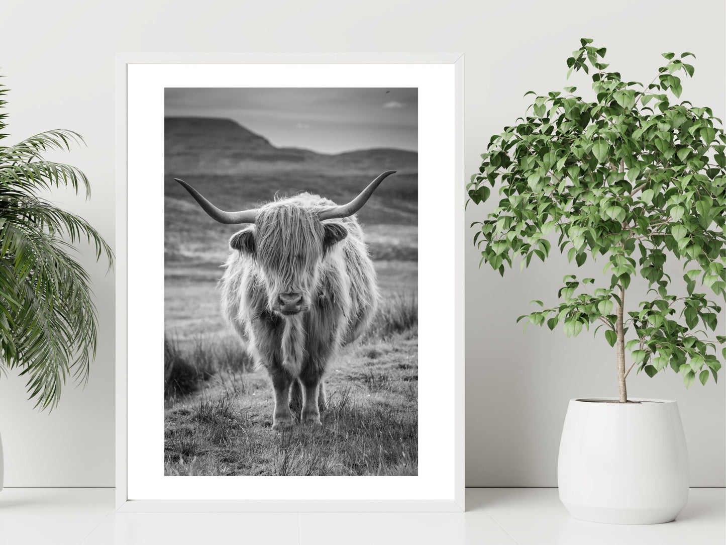Highland Cow (Greyscale)