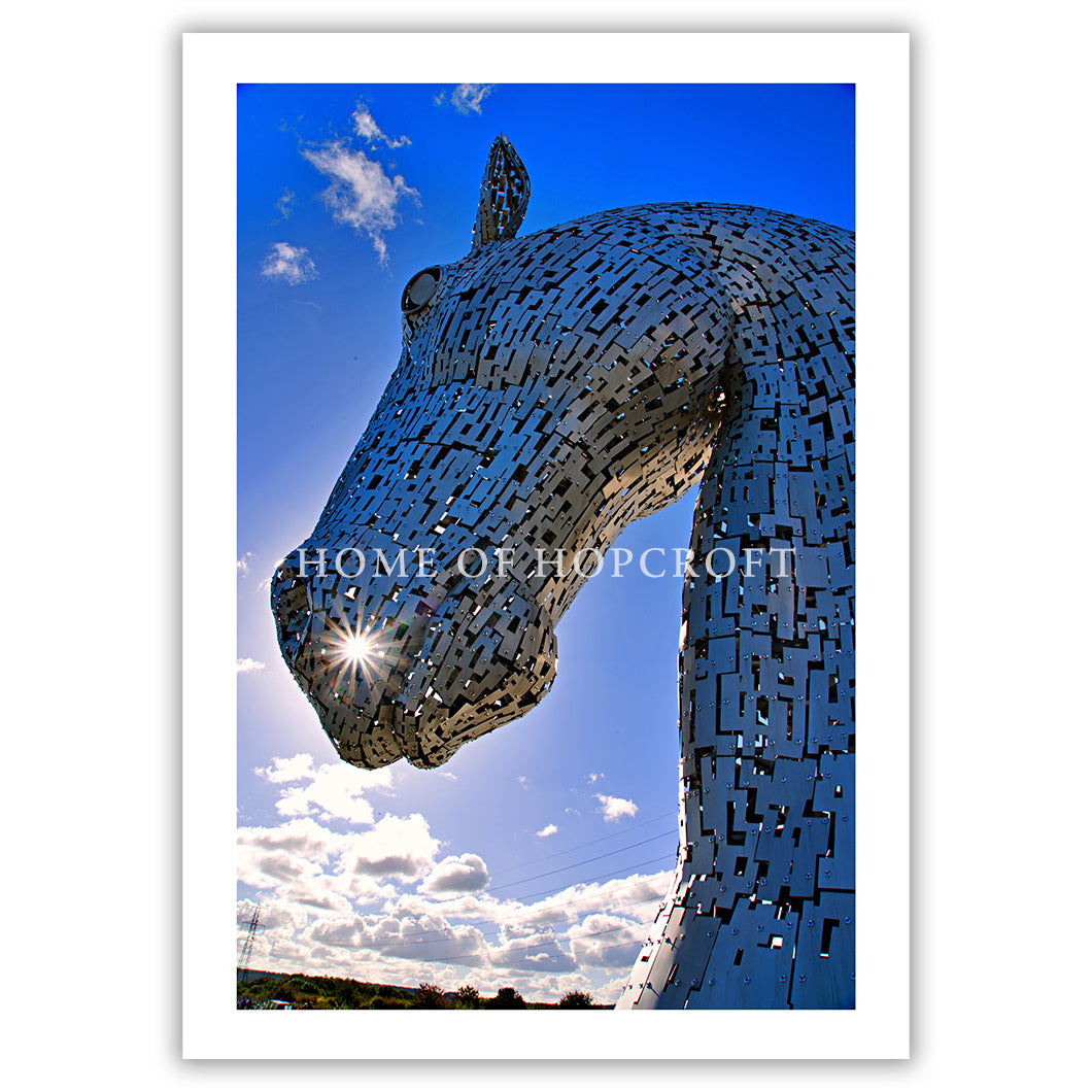 The Kelpies 'Duke' by Heavens Above