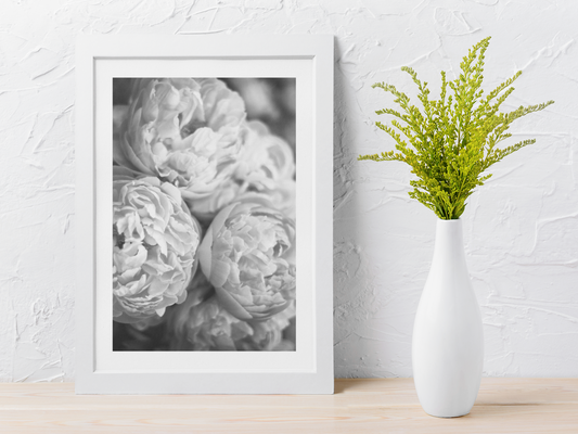 Grey Peonies