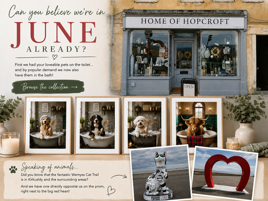 Can You Believe We’re Already in June?