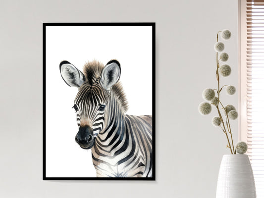 Zebra - Safari Collection