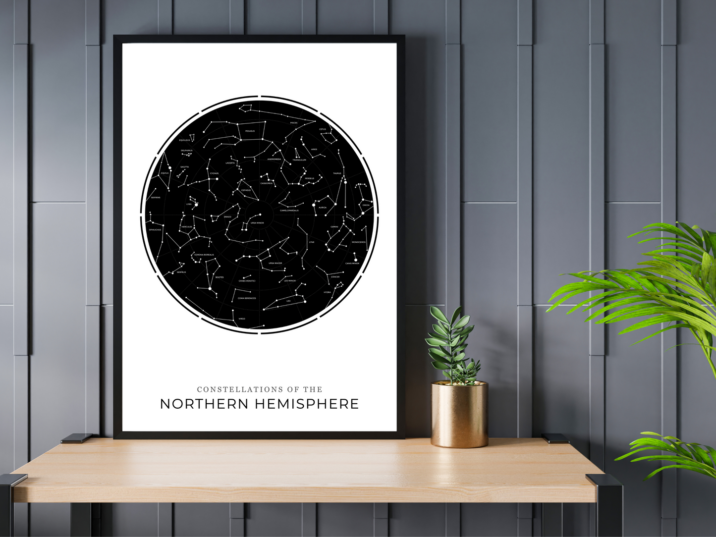 Northern Hemisphere Constellations
