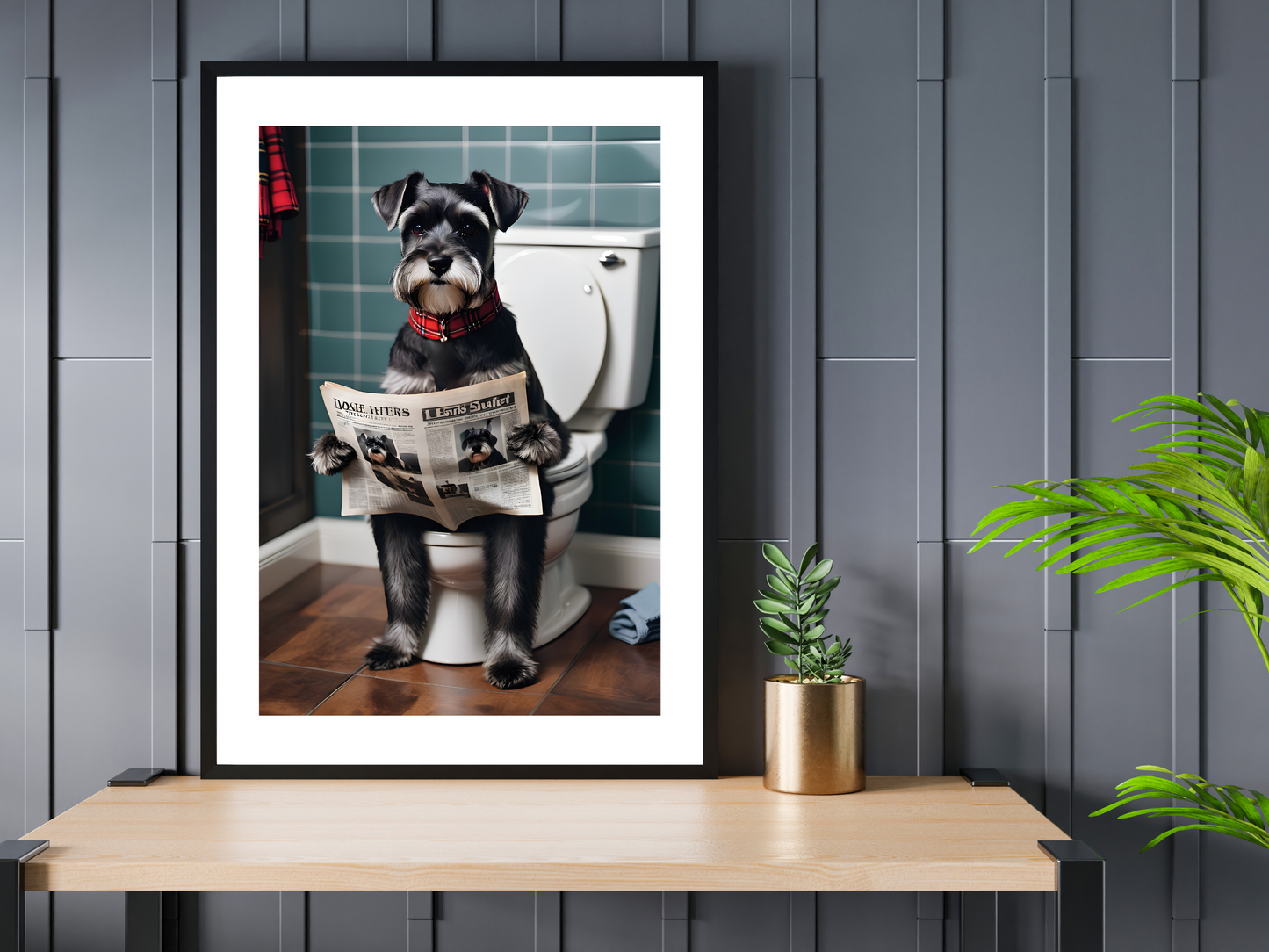 Grey Schnauzer on Toilet