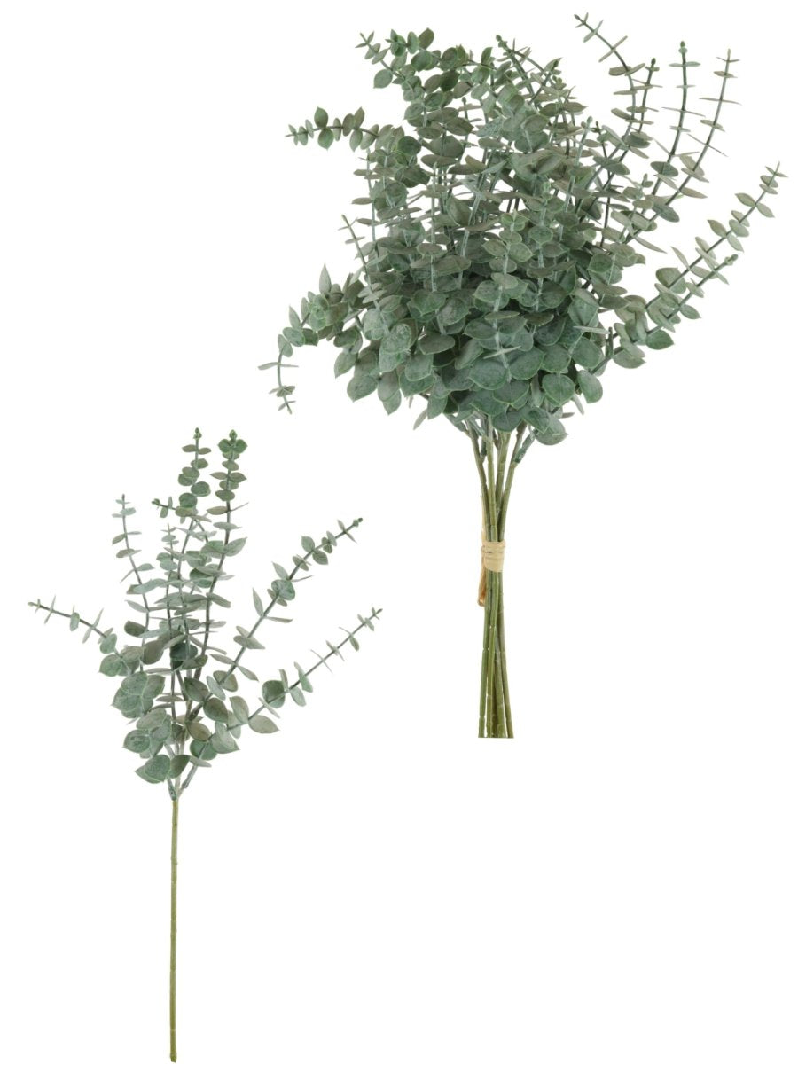 Eucalyptus Sprig Bunch