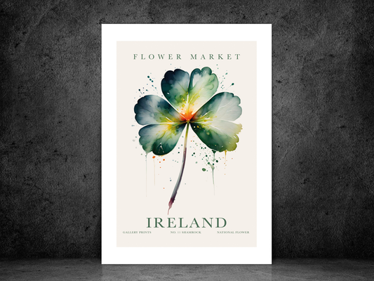 Flower Market - Ireland