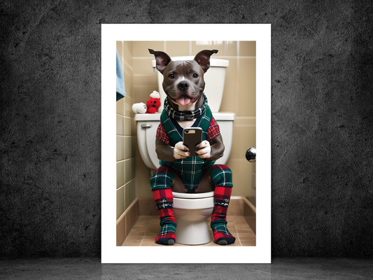 Staffordshire Bull Terrier on Toilet & Phone