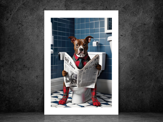 Staffordshire Bull Terrier on Toilet