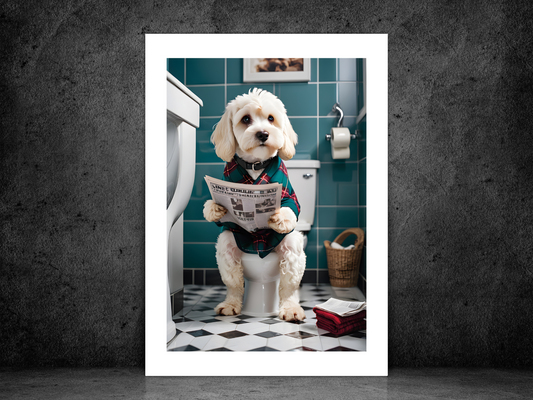 White Cockapoo on Toilet