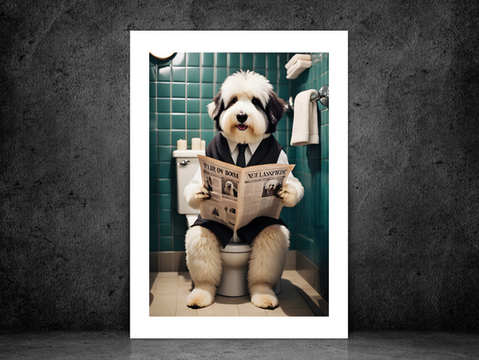 Old English Sheepdog on Toilet