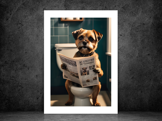 Border Terrier on Toilet