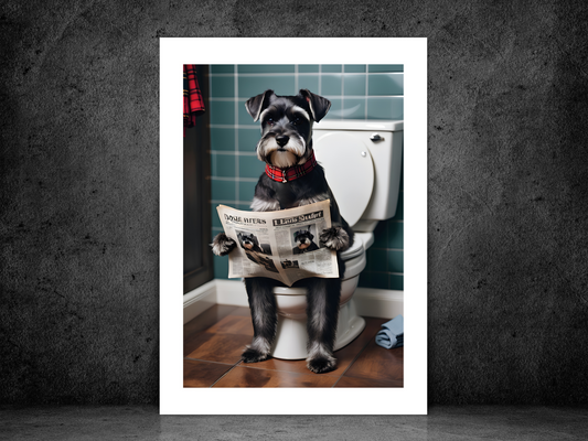 Grey Schnauzer on Toilet