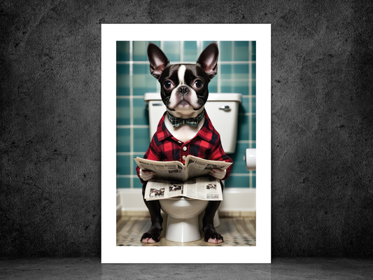 Boston Terrier on Toilet