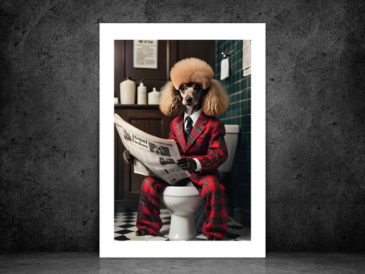 Poodle Tartan Jacket on Toilet