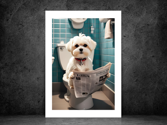 Maltese Dog on Toilet