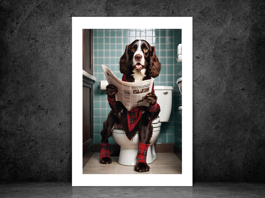 Springer Spaniel on Toilet