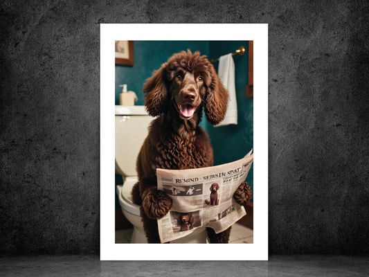 Irish Water Spaniel on Toilet