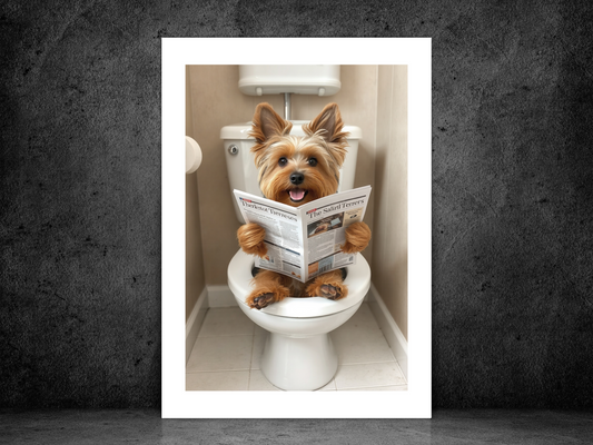 Yorkshire Terrier Dog on Toilet