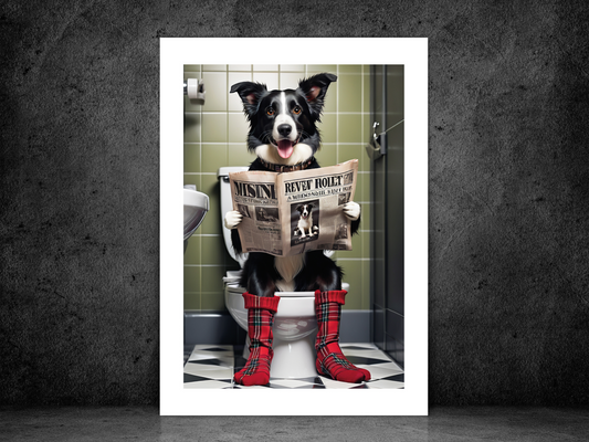 Border Collie Dog on Toilet