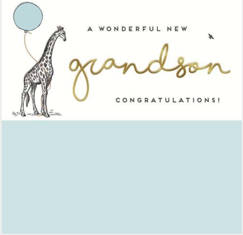 A Wonderful New Grandson Greetings Card