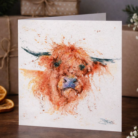 Angus Highland Cow Greetings Card