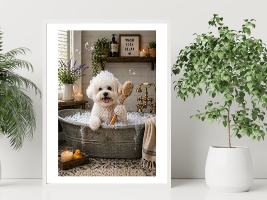 Bichon Frise Dog In Bath