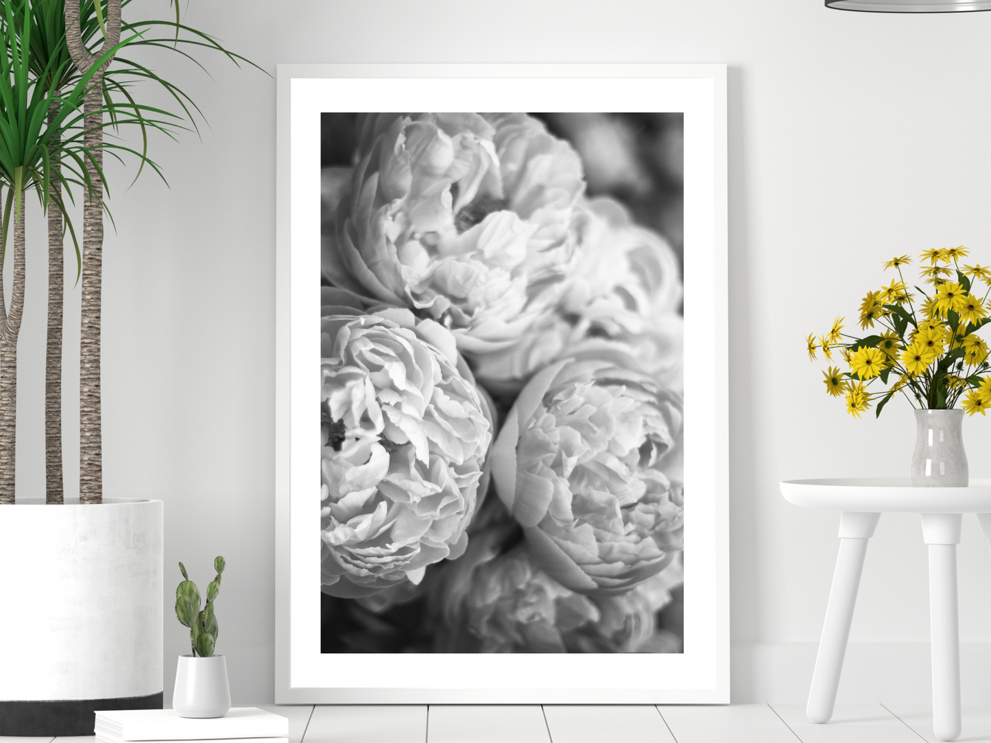 Grey Peonies