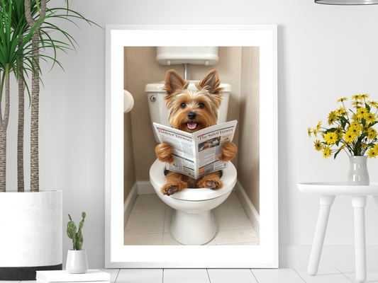 Yorkshire Terrier Dog on Toilet