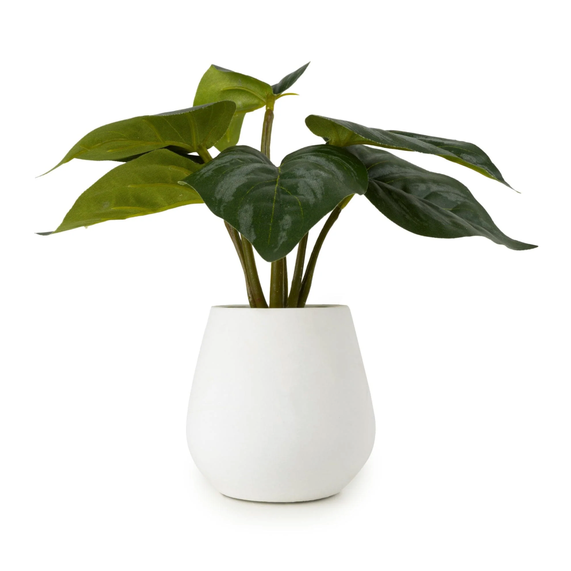 Alocasia Leaves in Cement Pot, artificial glossy green plant in a rounded white pot on a plain background