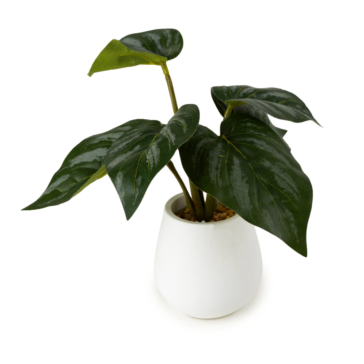 Alocasia Leaves in Cement Pot, side angle of the green artificial leaves in the white pot on white