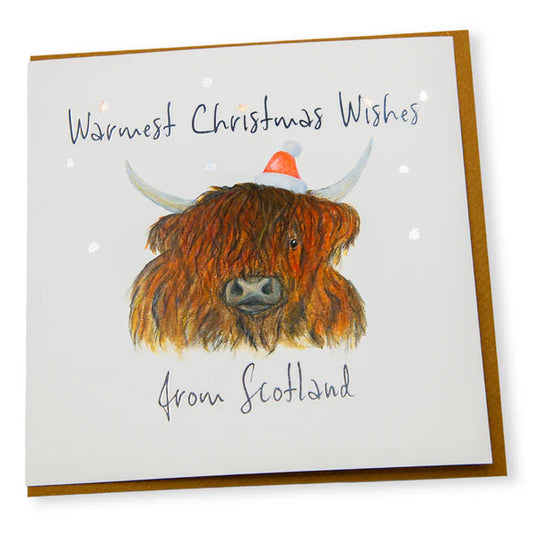 Warmest Christmas Wishes From Scotland Highland Cow