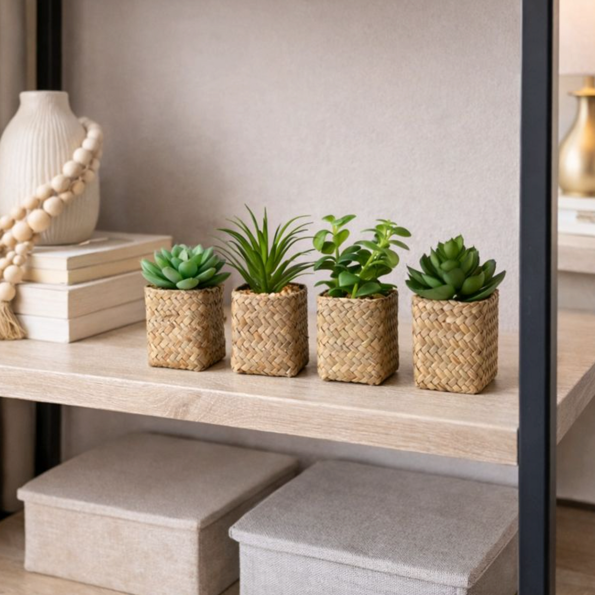 Petite Artificial Succulent in Woven Basket, a row of mini succulents in woven pots on a shelf unit