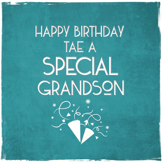 Special Grandson Birthday Greetings Card